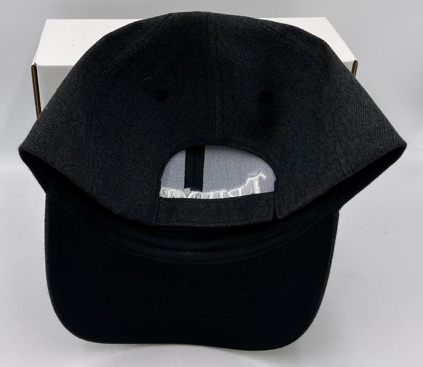 Triumph Script Embroidered Hat