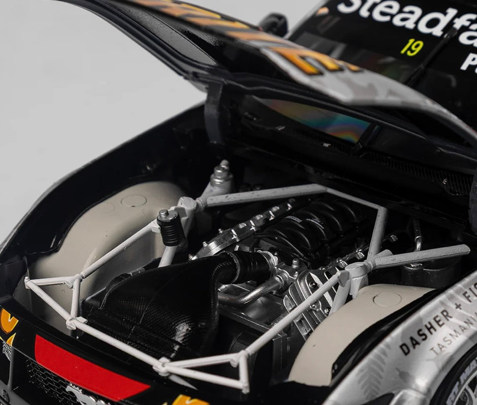 1:18 Ford Mustang GT #19 Matthew Payne 2024 ITM Taupo Super 400 Native Livery Authentic Collectables