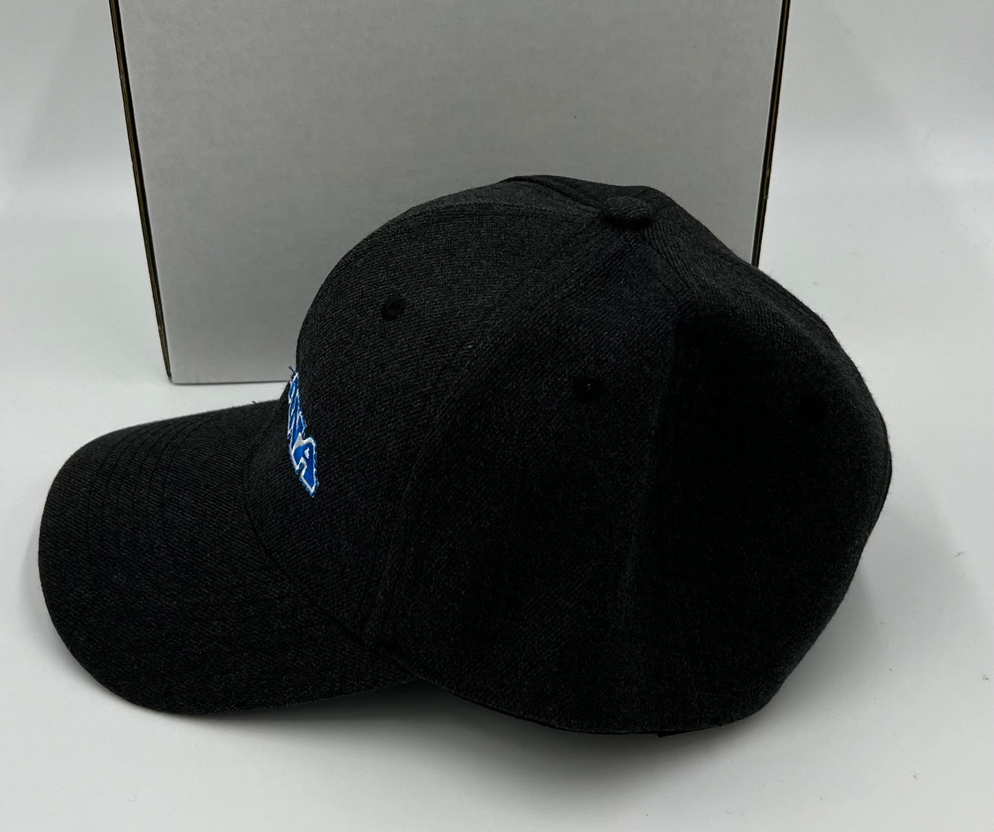 Torana Embroidered Hat