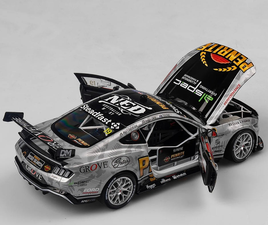 1:18 Ford Mustang GT #19 Matthew Payne 2024 ITM Taupo Super 400 Native Livery Authentic Collectables
