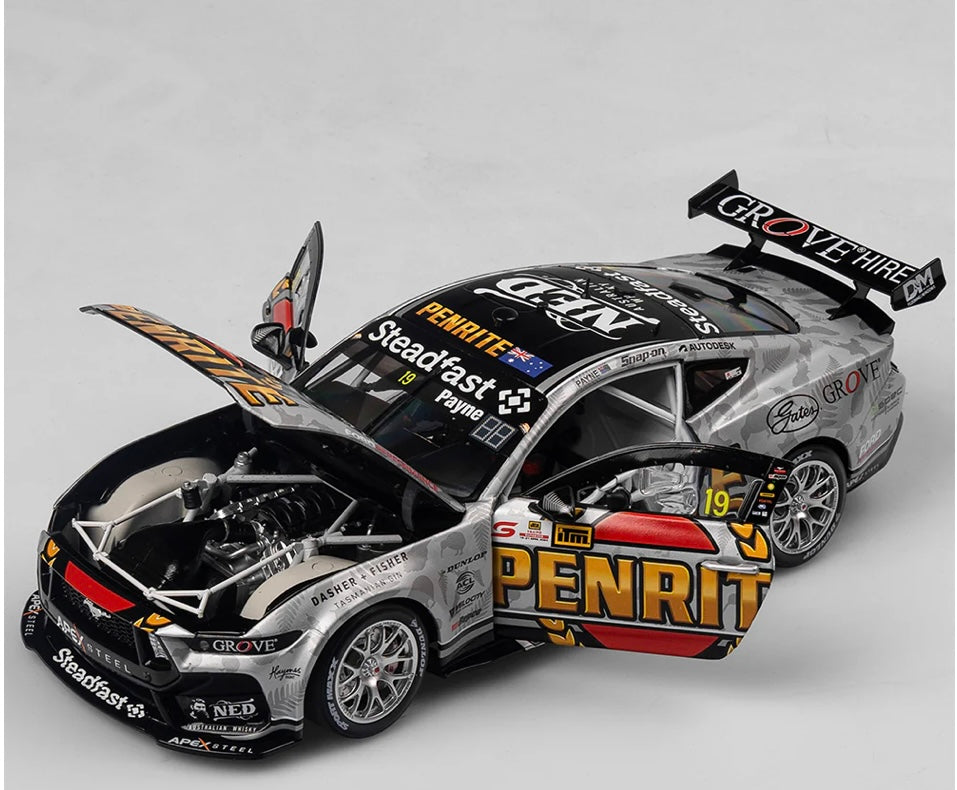 1:18 Ford Mustang GT #19 Matthew Payne 2024 ITM Taupo Super 400 Native Livery Authentic Collectables
